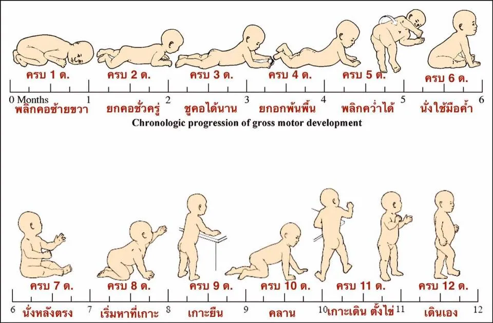 พัฒนาการ เด็ก